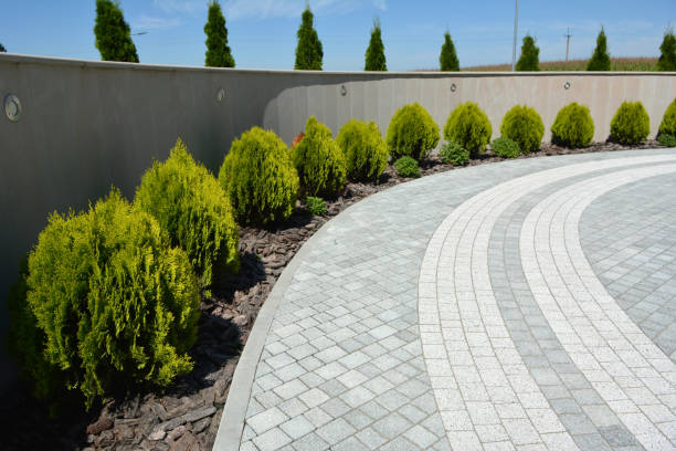 Best Driveway Repair Near Me  in Ellijay, GA